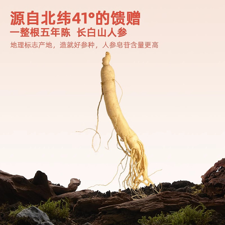 gum-fun-taobao-instant-fish-maw-hot-selling-top1-fresh-silver-fungus-ginseng-birds-nest-soup-160g-3
