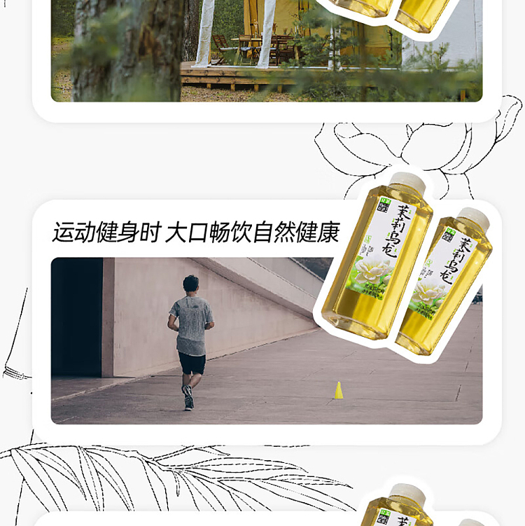 jean-tea-alpine-flower-tea-jasmine-oolong-tea-500ml-12