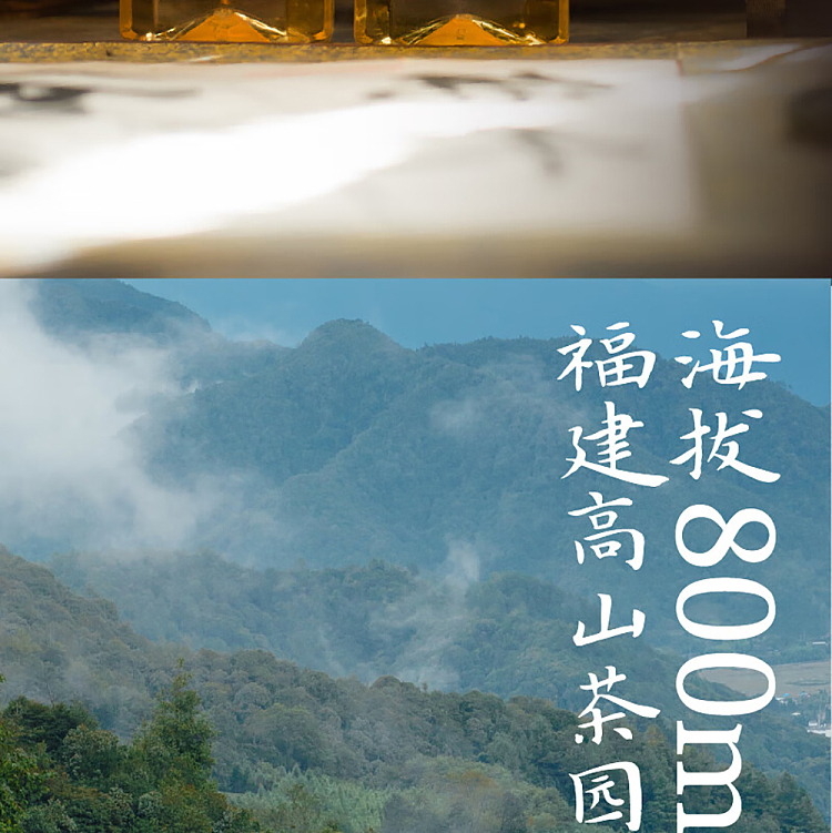 jean-tea-alpine-flower-tea-jasmine-oolong-tea-500ml-4