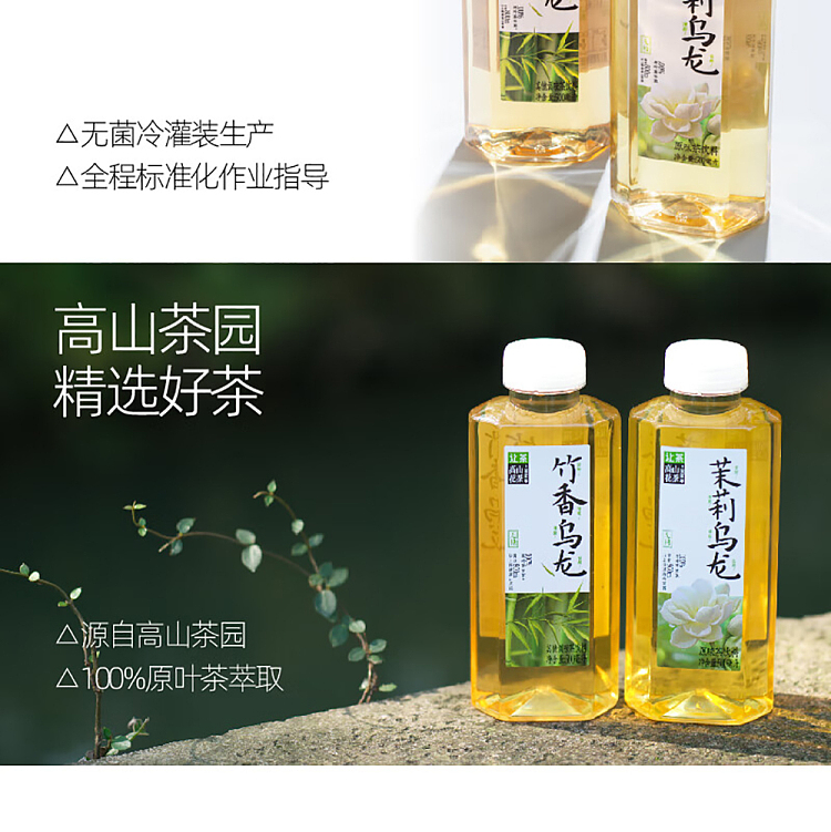 jean-tea-alpine-flower-tea-jasmine-oolong-tea-500ml15-bottles-15
