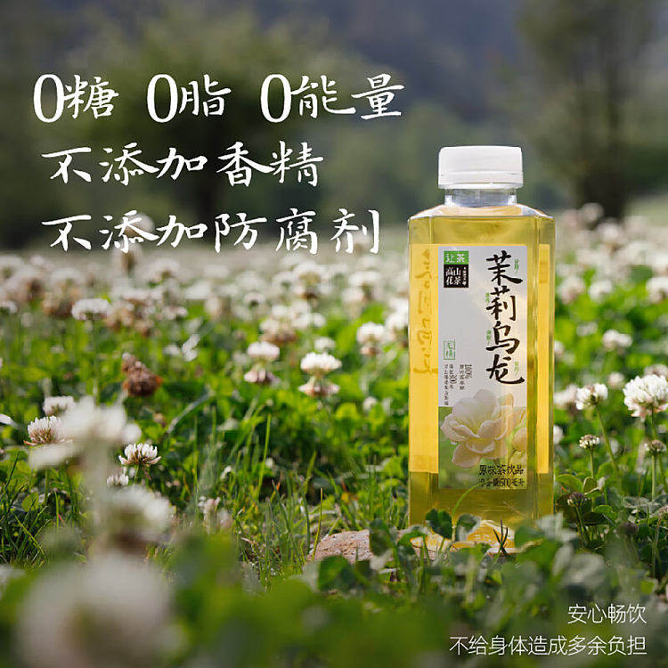 jean-tea-alpine-flower-tea-jasmine-oolong-tea-500ml15-bottles-4