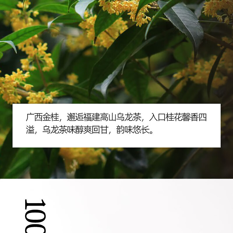 jean-tea-high-mountain-flower-tea-osmanthus-oolong-tea-500ml-7