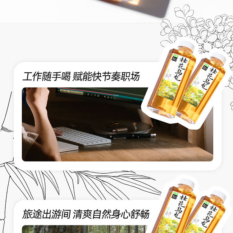 whole-case-jean-tea-alpine-flower-tea-osmanthus-oolong-tea-500ml15-bottles-11