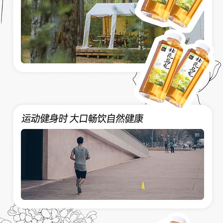 whole-case-jean-tea-alpine-flower-tea-osmanthus-oolong-tea-500ml15-bottles-12