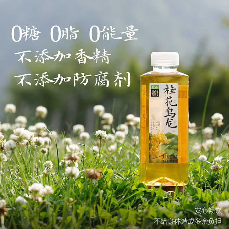 whole-case-jean-tea-alpine-flower-tea-osmanthus-oolong-tea-500ml15-bottles-4