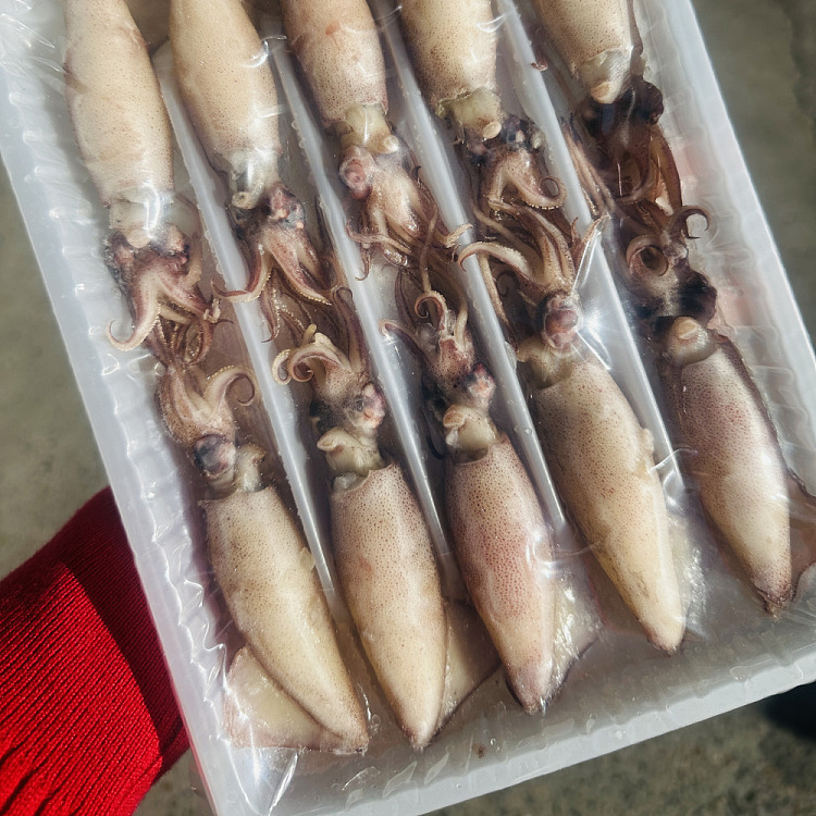 jelly-ruyu-fish-xiang-whole-seed-crow-240g-2