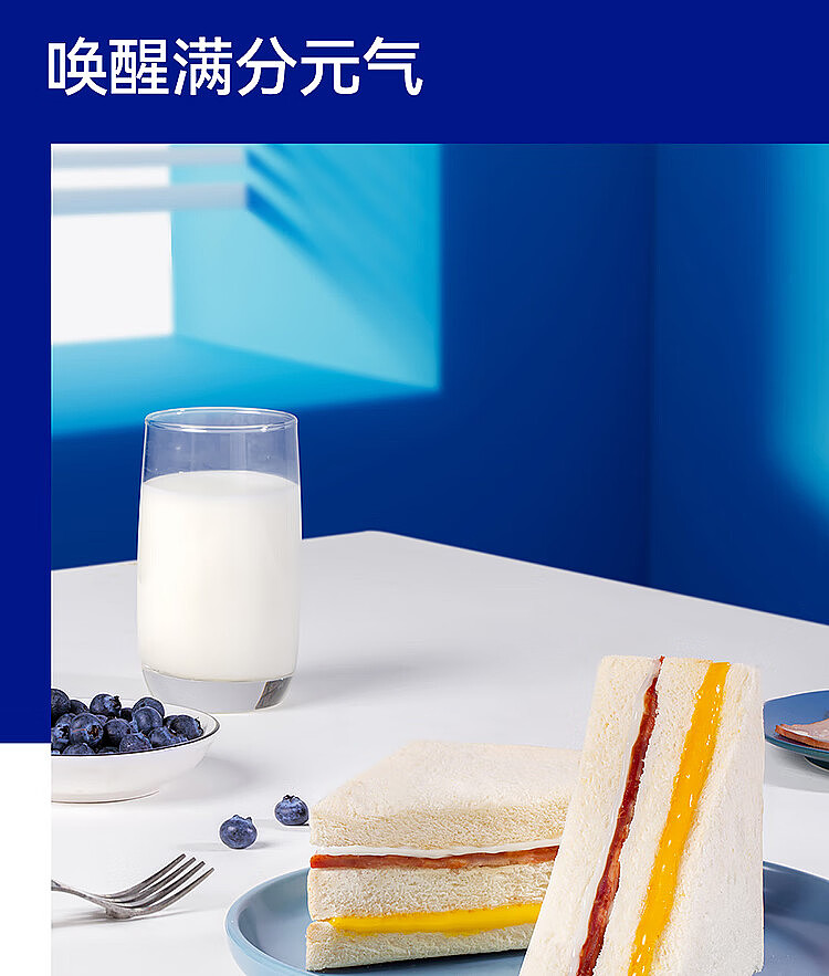 whole-box-harland-bacon-sandwich-bread-2kg-9
