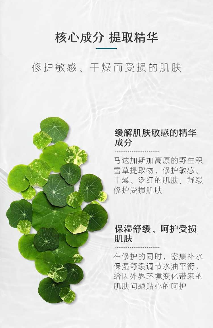 furijia-snow-lotus-soothing-repair-patch-5pcsbox-4