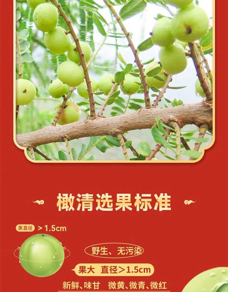 olive-clear-jasmine-yunnan-olive-juice-drink-330ml-4
