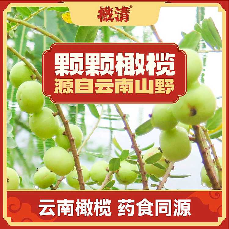 olive-clear-jasmine-yunnan-olive-juice-drink-330ml-3