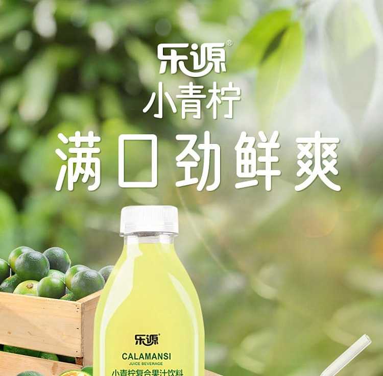 full-caseloyuan-small-lime-complex-juice-drink-1l6-bottles-case-1
