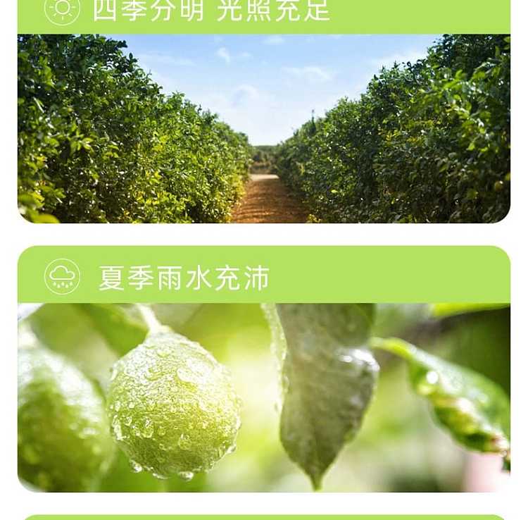 full-caseloyuan-small-lime-complex-juice-drink-1l6-bottles-case-5