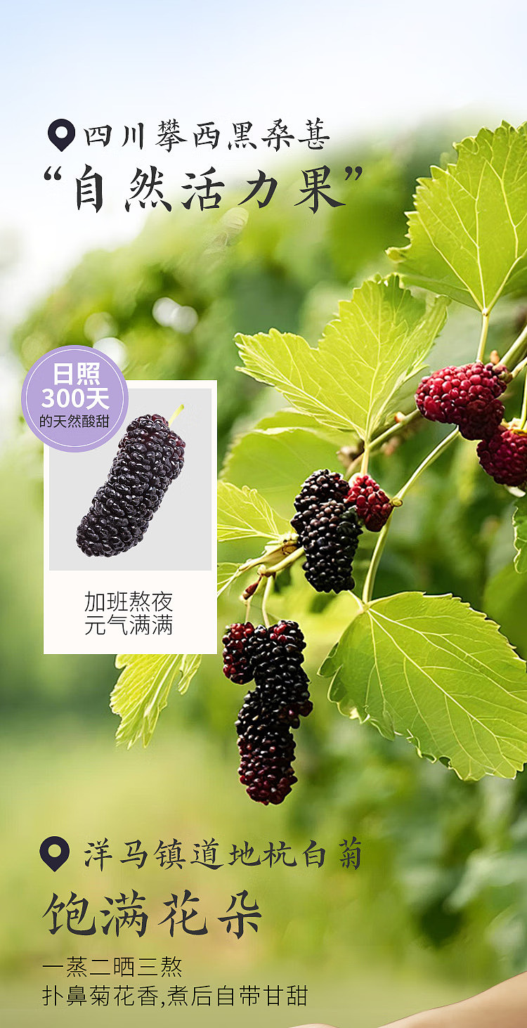 cocoa-manju-chinese-tea-drinks-black-wolfberry-and-chrysanthemum-500ml-4