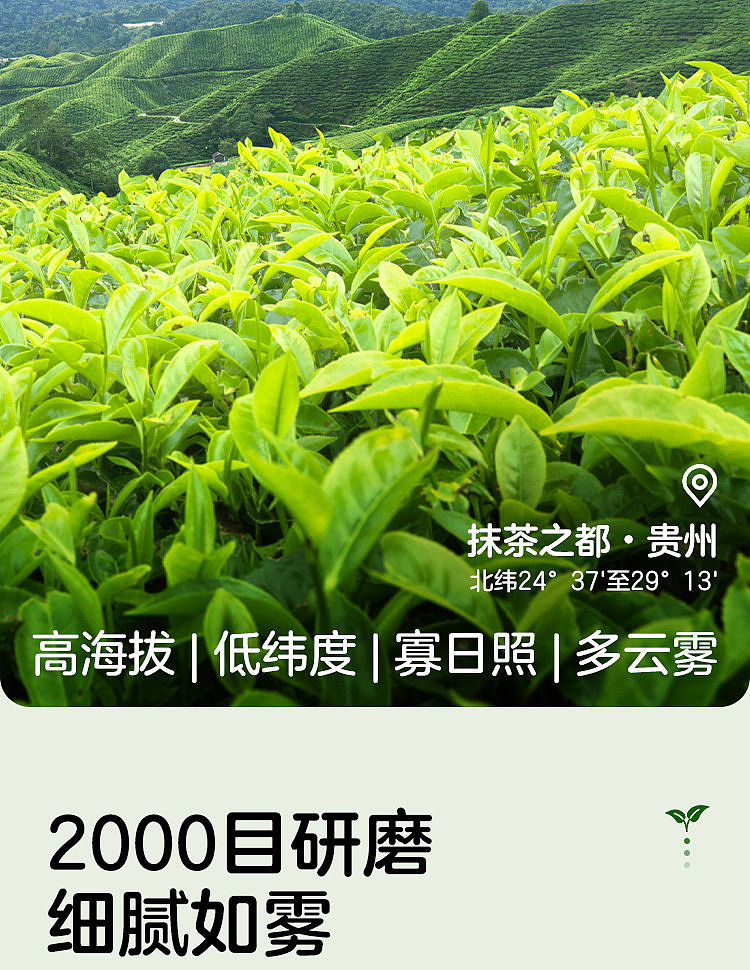 walmarts-own-brand-woji-fresh-jasmine-matcha-1l-6