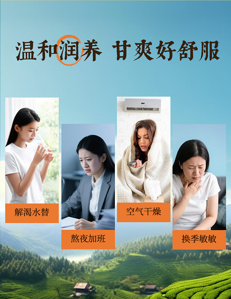 cocoa-manju-chinese-tea-drink-loquat-snow-pear-water-500ml-12