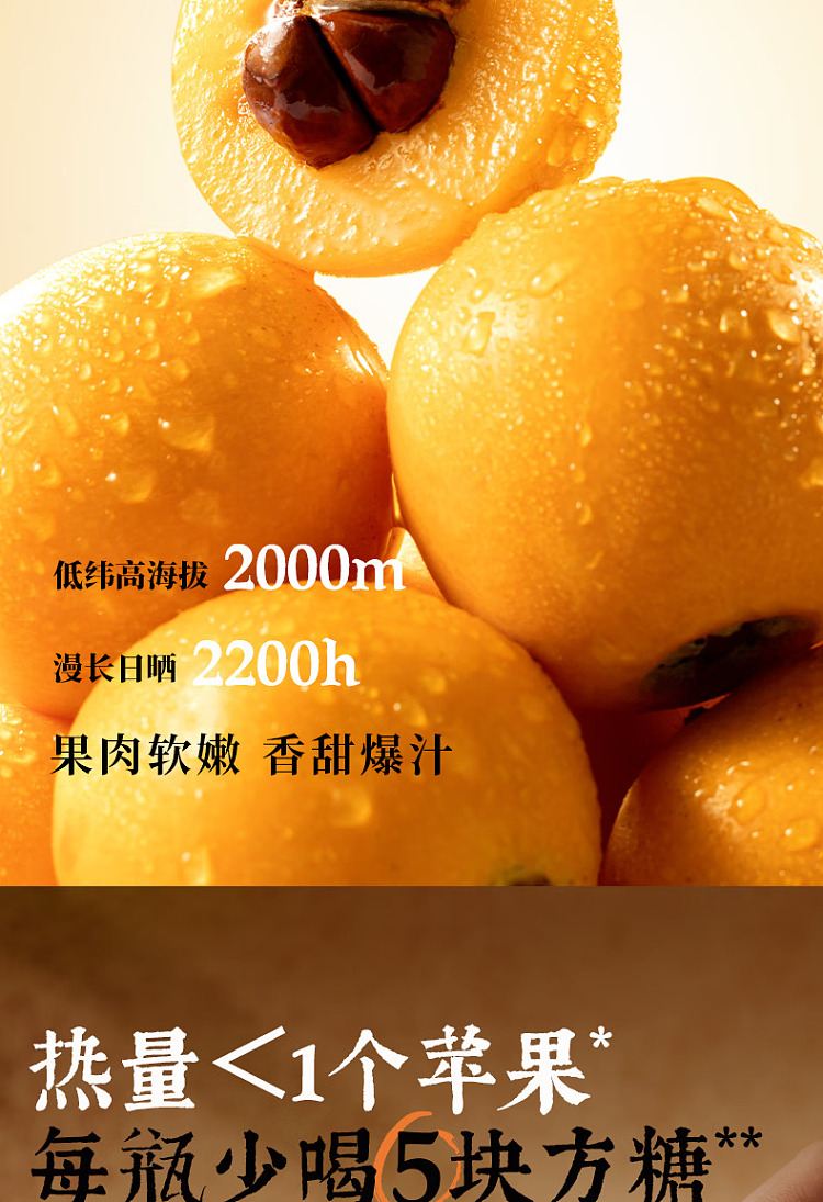 cocoa-manju-chinese-tea-drink-loquat-snow-pear-water-500ml-6