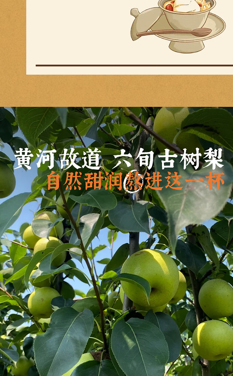cocoa-manju-chinese-tea-drink-loquat-snow-pear-water-500ml15-3