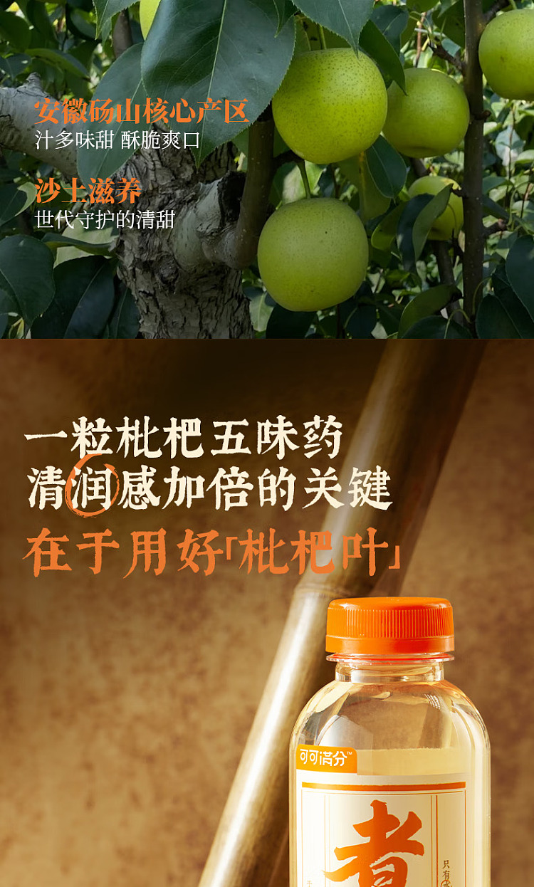cocoa-manju-chinese-tea-drink-loquat-snow-pear-water-500ml15-4