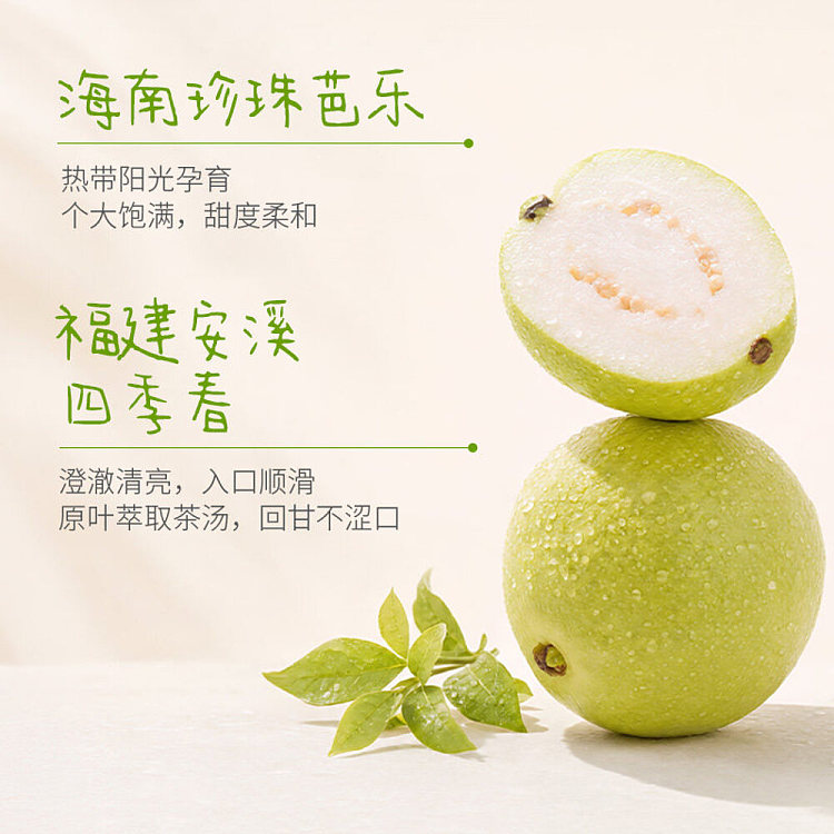 full-case-coco-full-score-lemon-scented-guava-fruit-tea-450ml-x-15-2