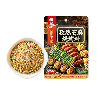 海底捞 筷手小厨 孜然芝麻烧烤料 40g