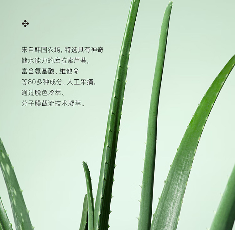 rnw-ru-wei-hydrating-aloe-vera-gel-250ml-5