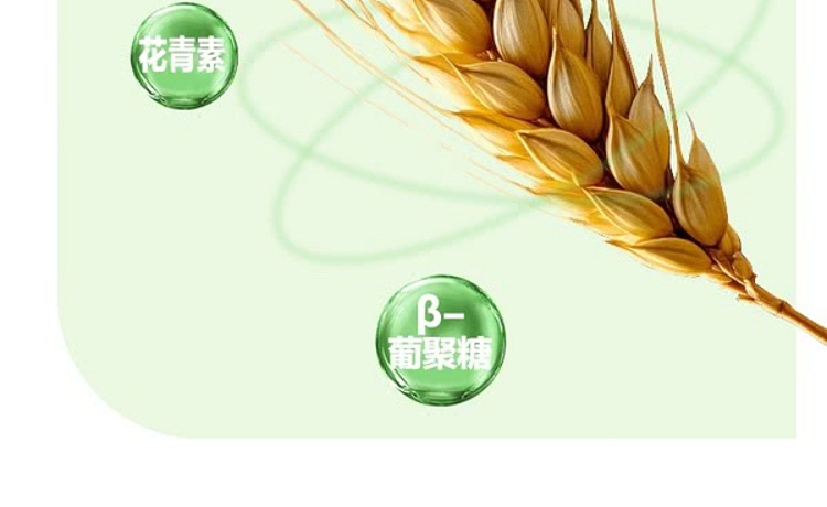 sams-exclusive-organic-low-fat-tricolor-barley-2kg-8