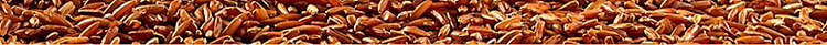 old-gold-mill-formula-colla-corii-asini-red-ginseng-red-face-pills-108g-8