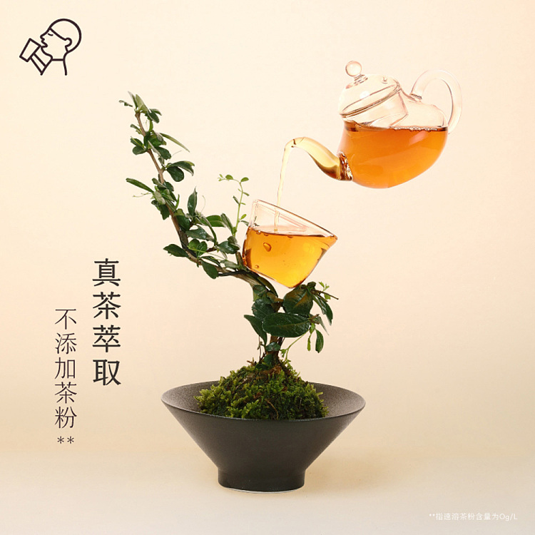 full-case-xi-cha-empty-tea-shui-xian-oolong-tea-500ml15-bottles-case-4