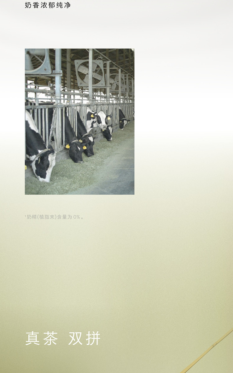 costco-kai-shi-ke-china-hei-tea-jasmine-strong-match-buttermilk-tea-milk-tea-drink-350ml15-3