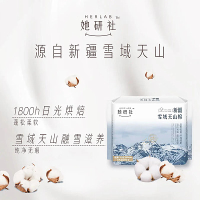 她研社 雪域天山棉系列 日用卫生巾 240mm 8片