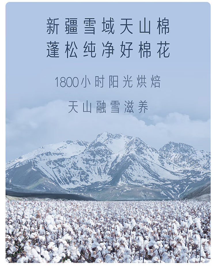 she-research-center-snowy-tien-shan-cotton-series-extra-long-nighttime-sanitary-napkins-420mm-4-pieces-2