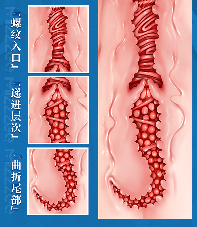 mystery-ji-jiangdong-three-sisters-pubic-buttocks-half-body-with-legs-inverted-model-feng-yun-ping-ting-flesh-color-36-25-18cm-24