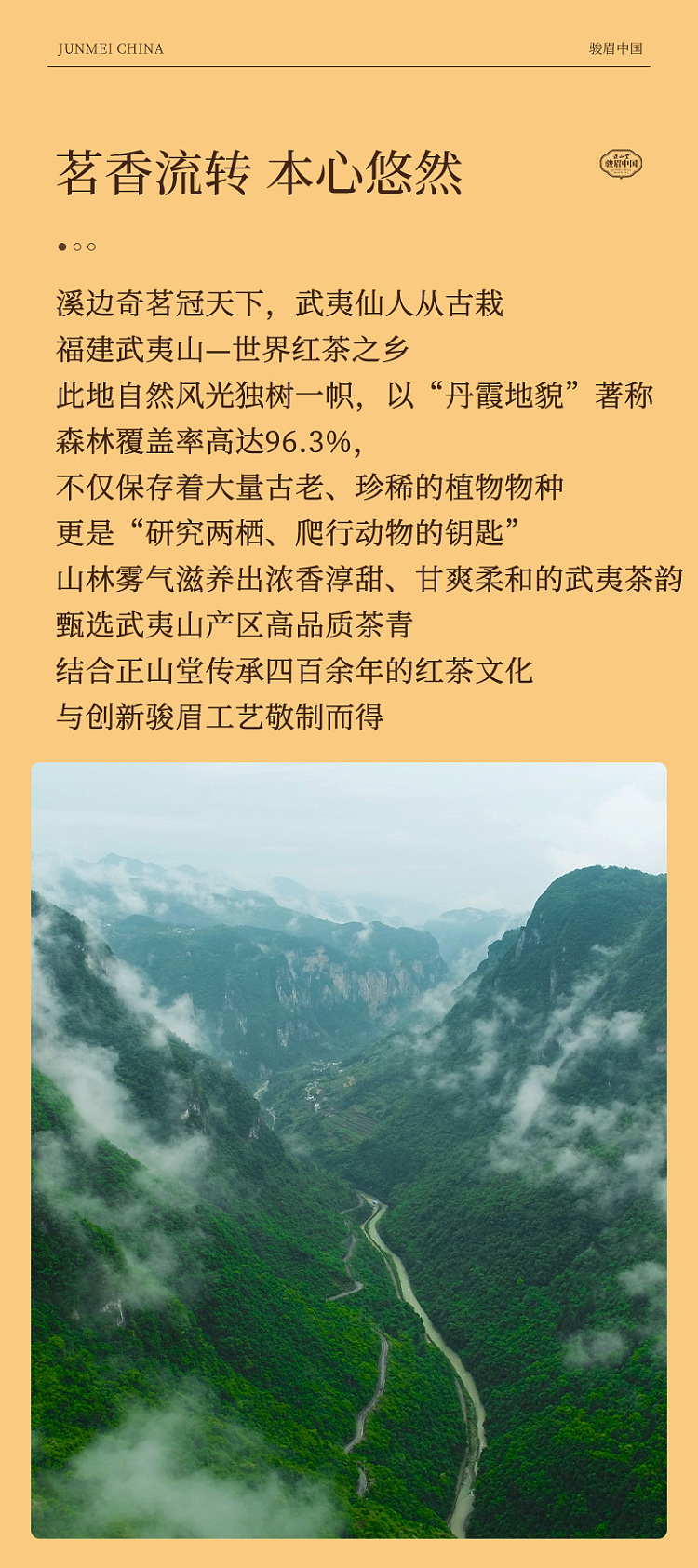 zhengshantang-junmei-chinas-marvelous-heart-premium-black-tea-gift-box-4g-75-servings-9