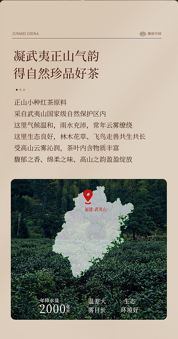zhengshantang-junmei-chinese-zhengshan-xiaozhong-black-tea-gift-box-4g-30-servings-2