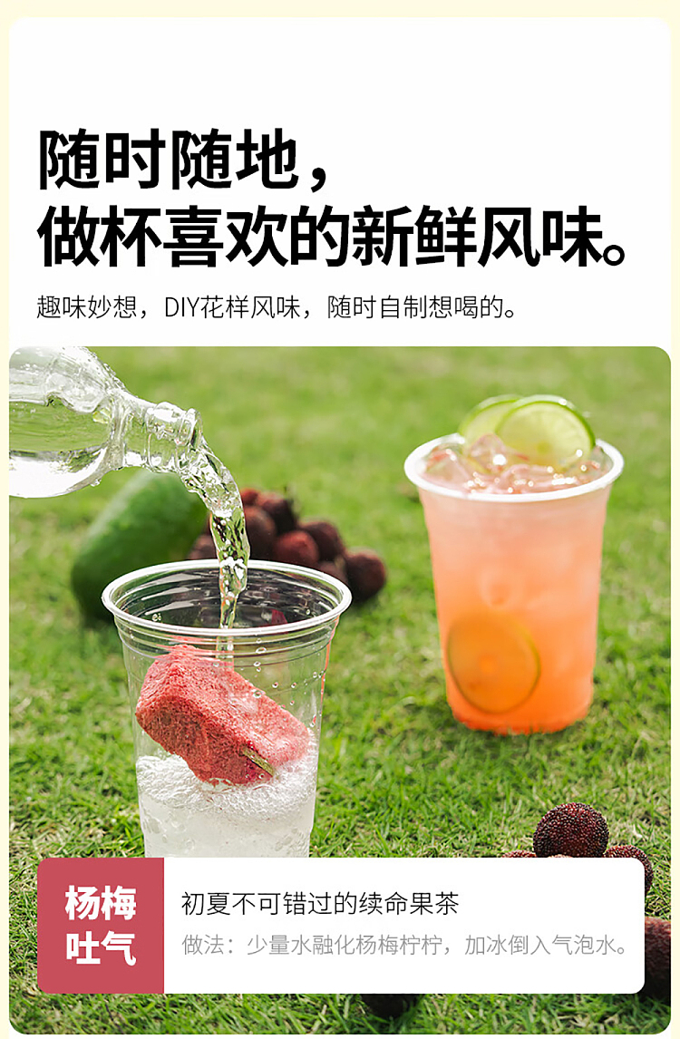otter-ton-ton-freeze-dried-fruit-tea-plum-lemon-15g6pcs-included-11