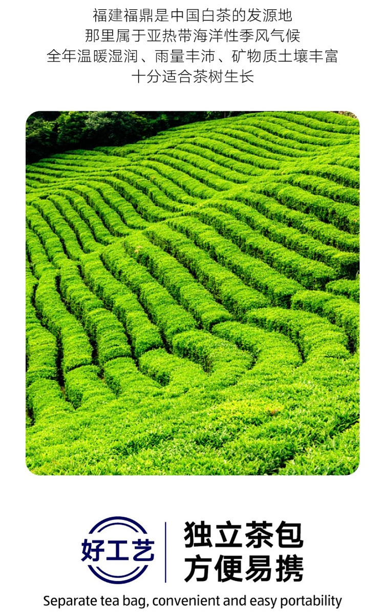 all-australia-exclusive-orazi-china-goodlife-osmanthus-white-tea-30g3g10-3