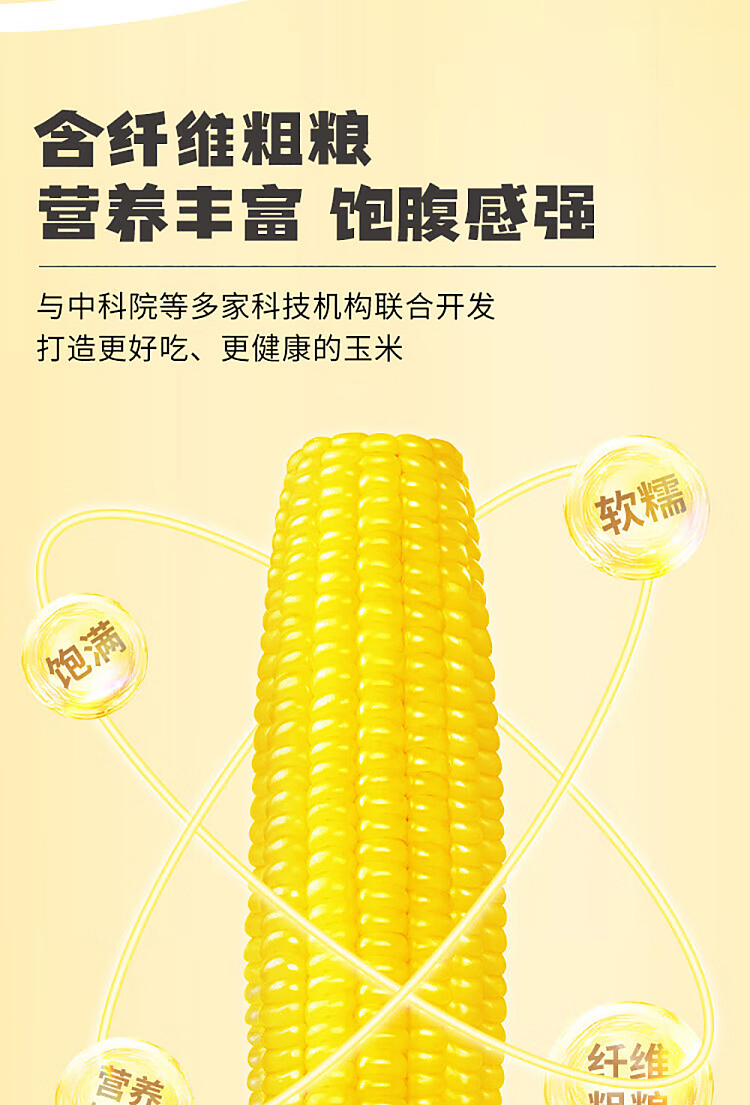 47n-yellow-glutinous-corn-200g-8