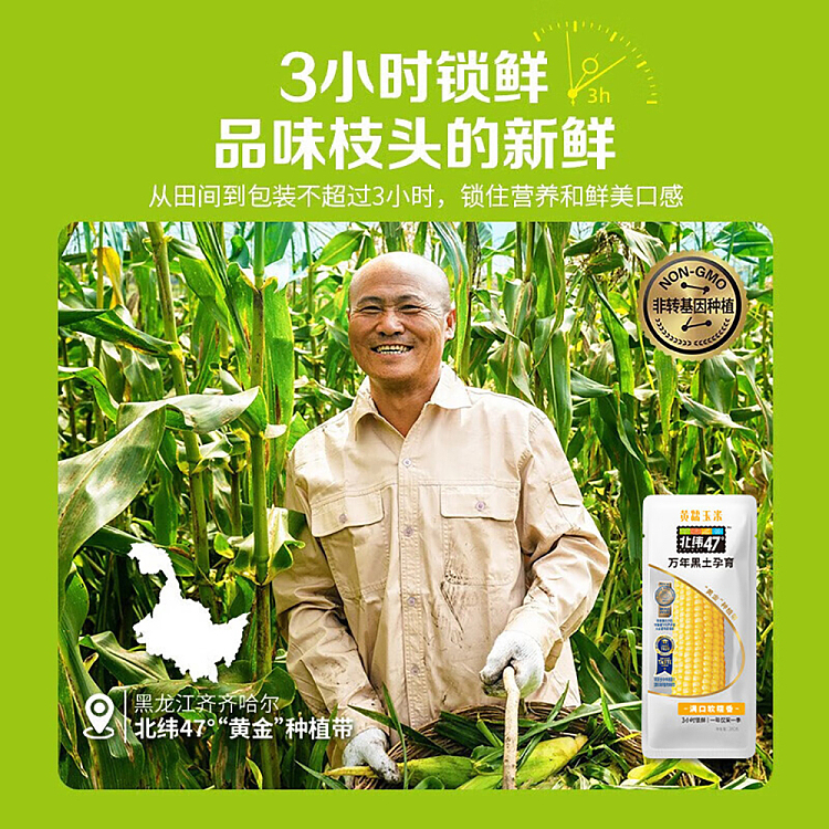 47n-yellow-glutinous-corn-200g-2