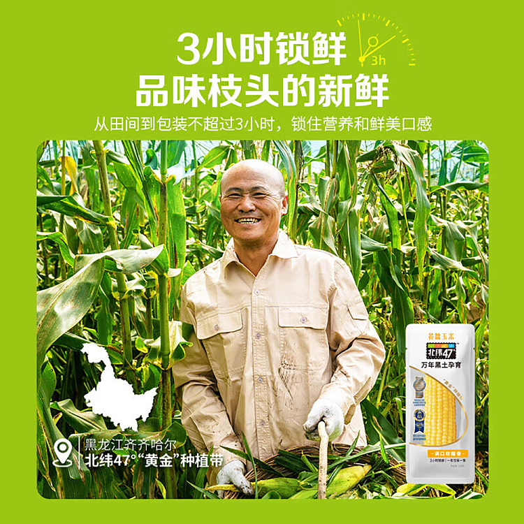 47-north-fruit-corn-220g-2