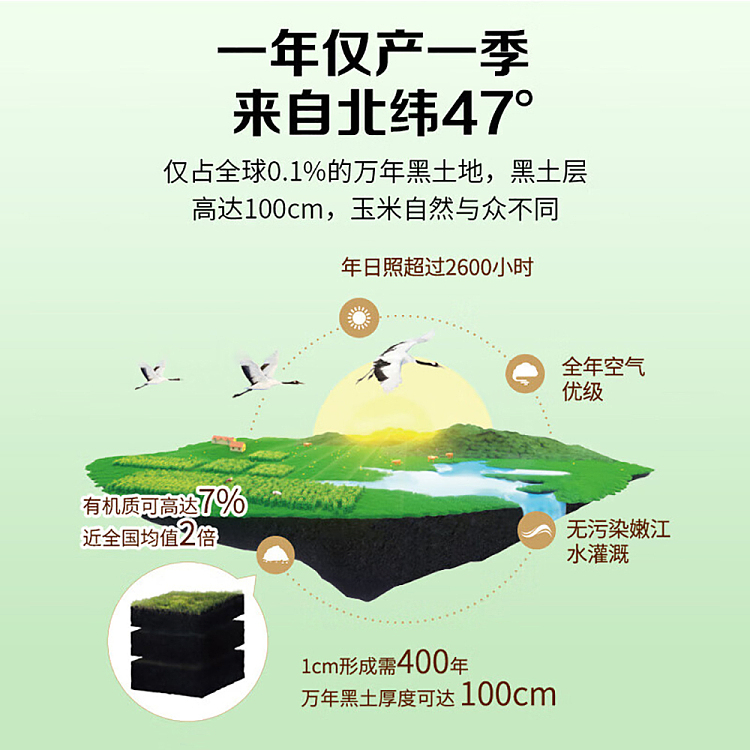 47-north-fruit-corn-220g-5