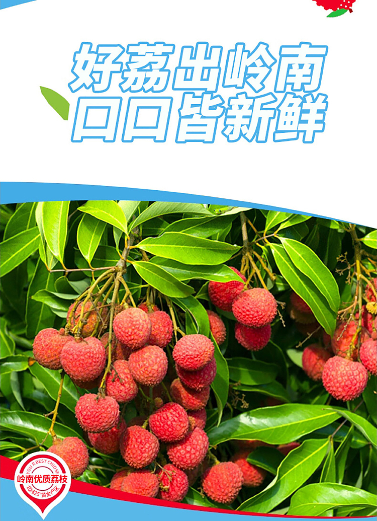 wanglaoji-lai-siu-ji-sea-salt-lychee-juice-drink-310ml-2