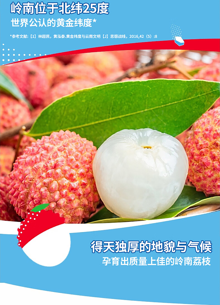 wanglaoji-lai-siu-ji-sea-salt-lychee-juice-drink-310ml-3