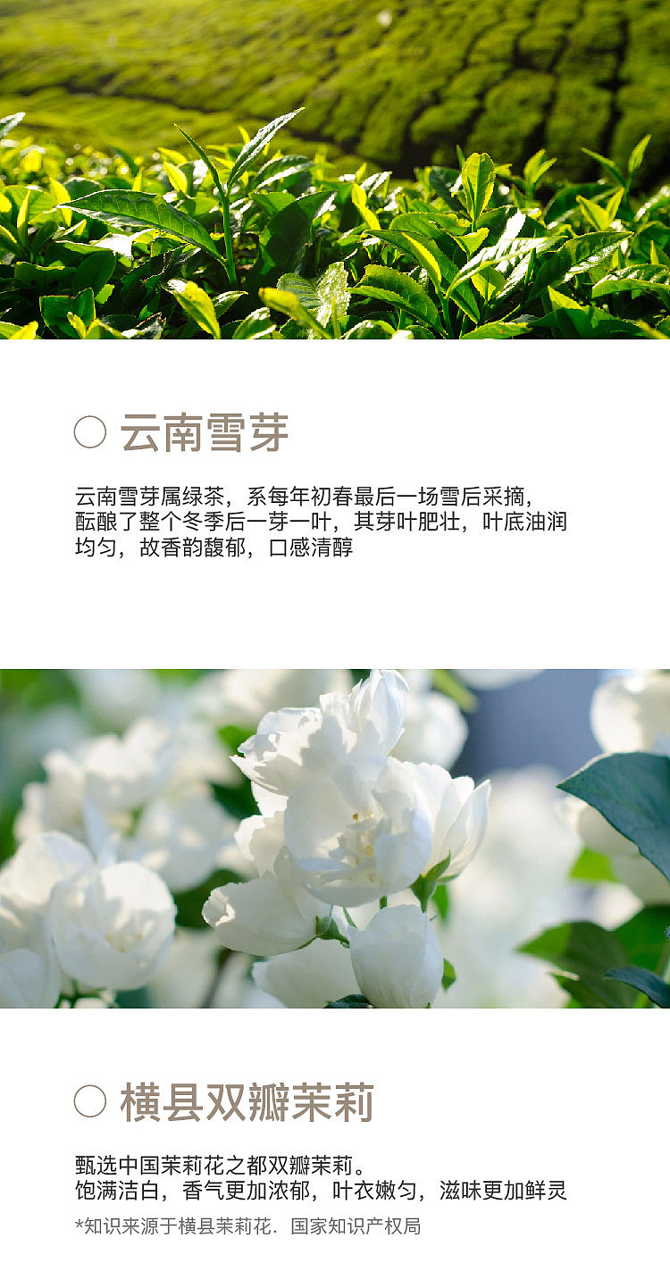 huatian-cui-jasmine-snow-bud-instant-milk-tea-20g-x-5-4