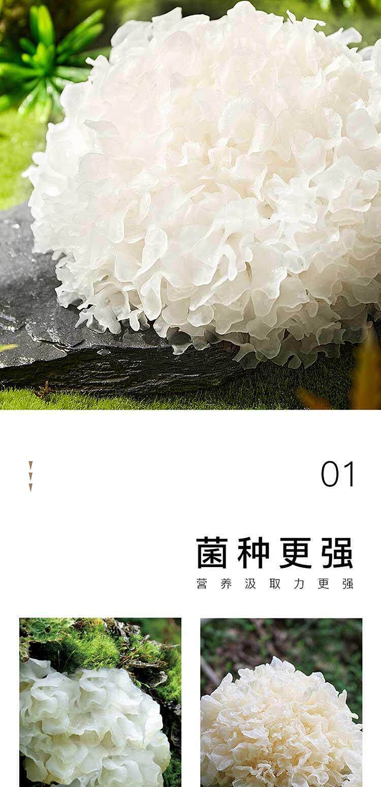 yao-shuxian-osmanthus-and-white-fungus-pudding-228g-3