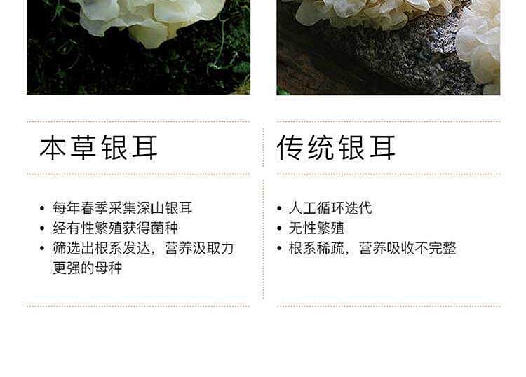 yao-shuxian-osmanthus-and-white-fungus-pudding-228g-4