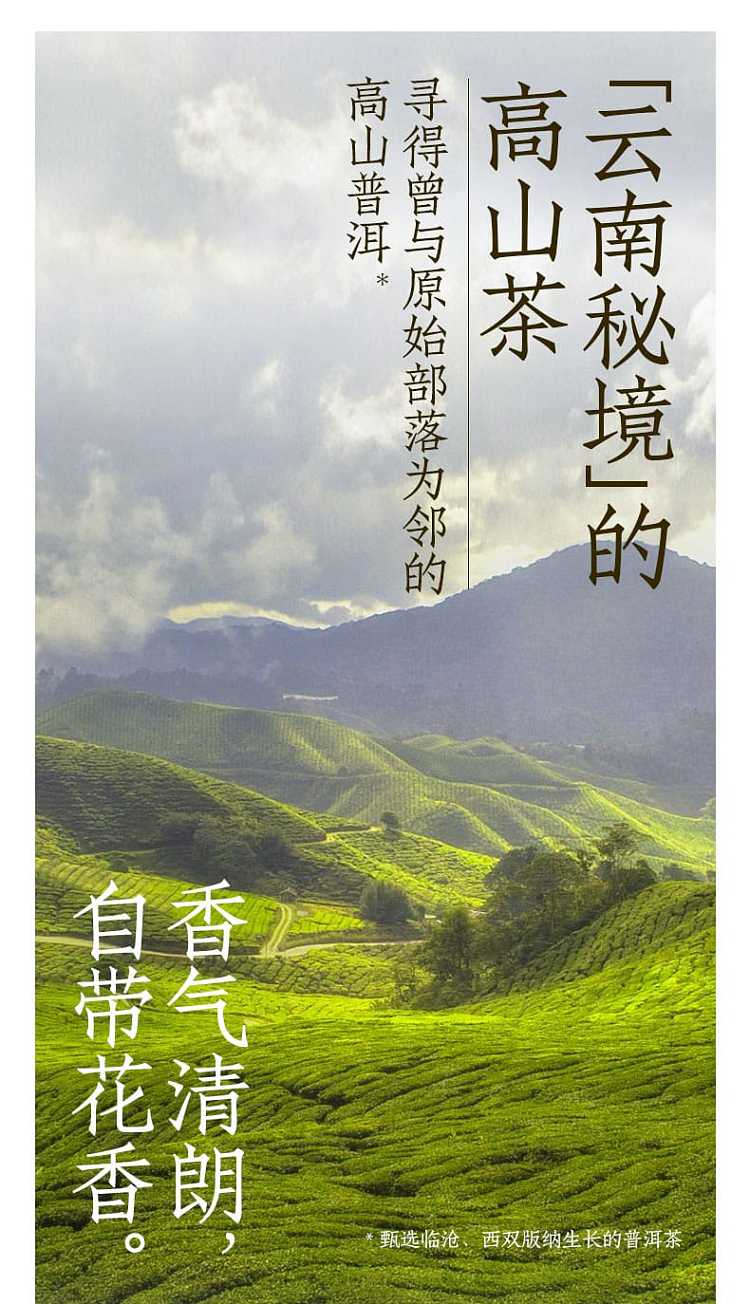 full-caseyuanqi-forest-qingkang-puer-sugar-free-500ml15-bottles-case-3