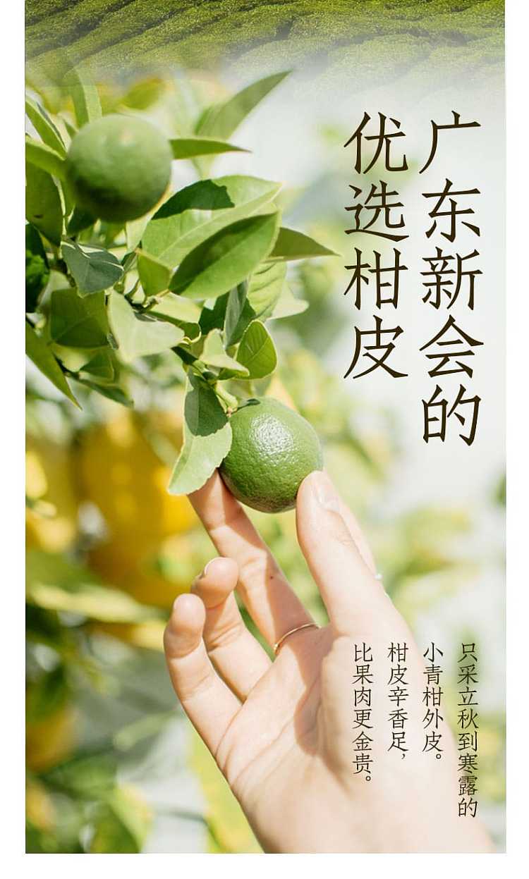 full-caseyuanqi-forest-qingkang-puer-sugar-free-500ml15-bottles-case-4