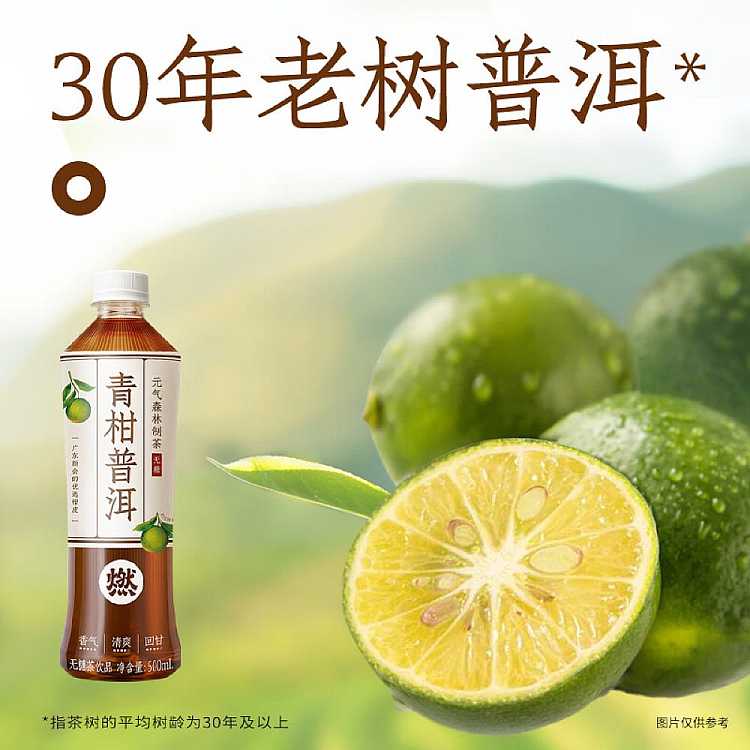 full-caseyuanqi-forest-qingkang-puer-sugar-free-500ml15-bottles-case-2