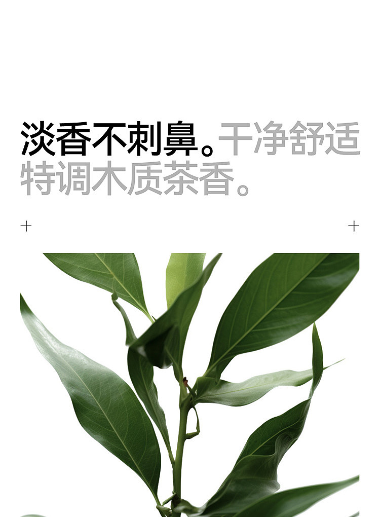 jishan-no-0-soft-styling-clay-50g-20