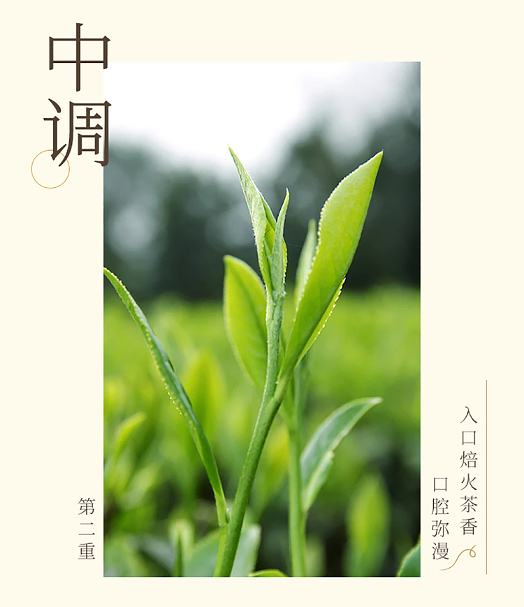 cha-li-juice-tea-peach-oolong-tea-520ml-11